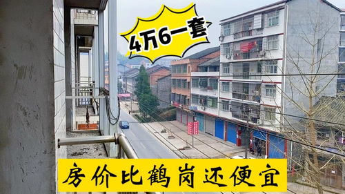 四川小城驚現(xiàn)4.6萬三室一廳，房價竟比鶴崗還低